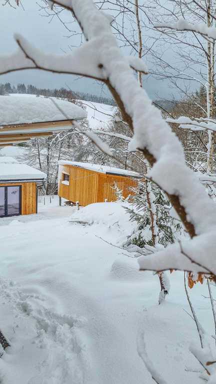 Kulna v zime
