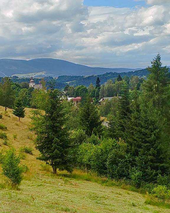 Pohled na Puste Zibridovice