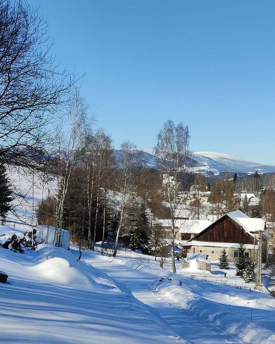 Pohled na Kralicky Sneznik z pozemku